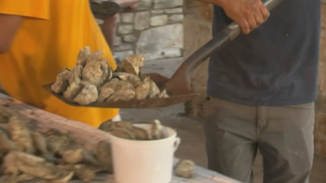 100,000 oysters eaten on first night of Fiesta Oyster Bake 2023