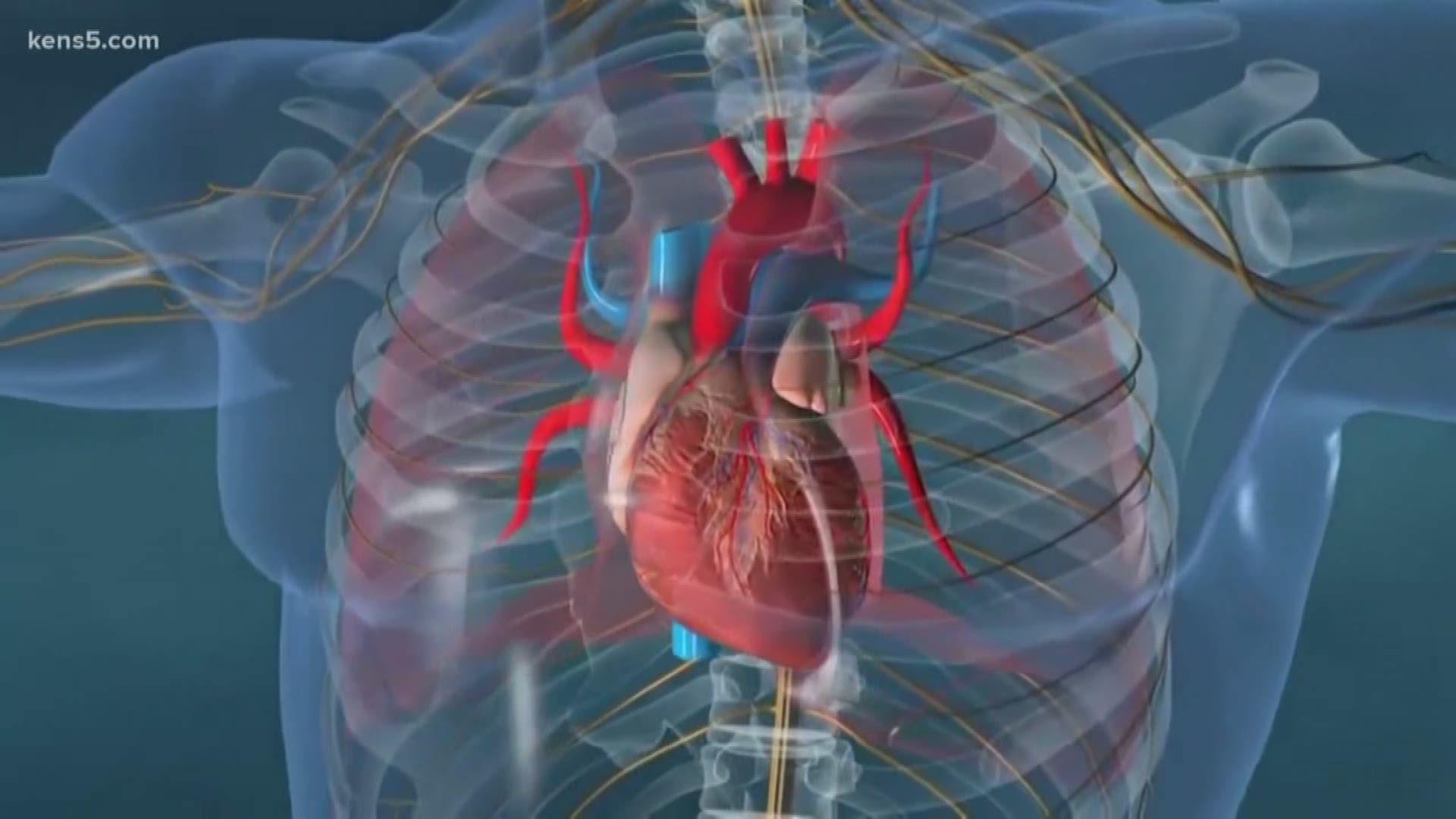 Every year more than 750,000 people are hospitalized because of atrial fibrillation, which is an irregular heartbeat. With an aging population that number is expected to rise.
