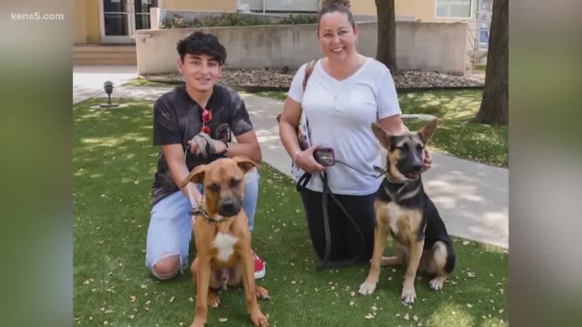 Gabe and Banjo ended up a the San Antonio Humane Society with five broken legs between them.