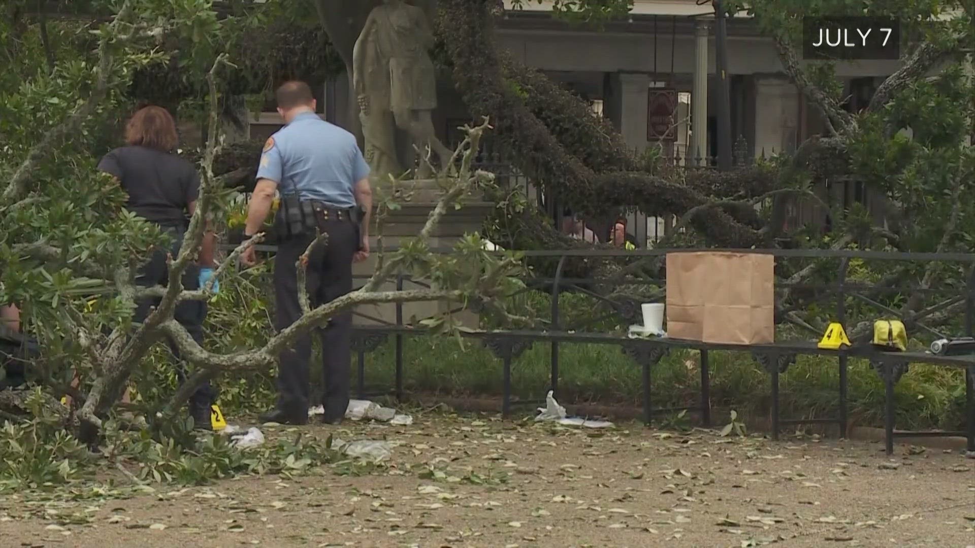 17-year-old Gavin Cristea was sitting on a bench with his mother and sibling in Jackson Square when the tree suddenly dropped and caused catastrophic damage.