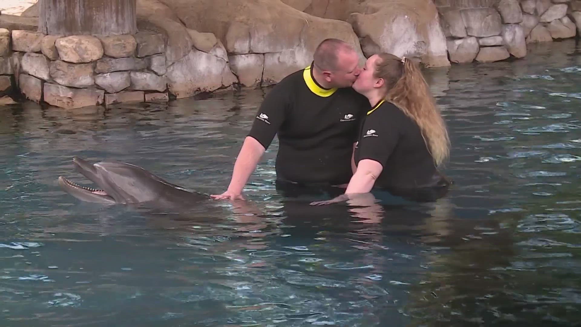 This was the bride's first time visiting SeaWorld.