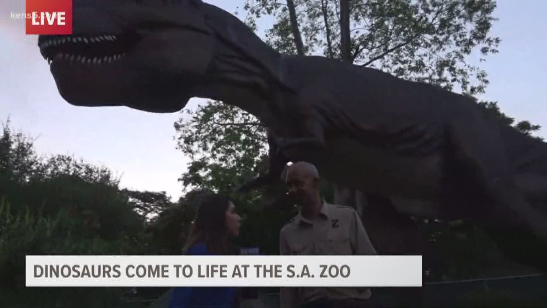 Zoorassic Park Brings Dinosaurs To Life At Sa Zoo Kens5 Com