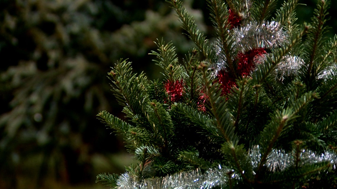 Gonzales Christmas Tree Drop Off 2022 Kerrville Offering Christmas Tree Recycling After The Holidays | Kens5.Com