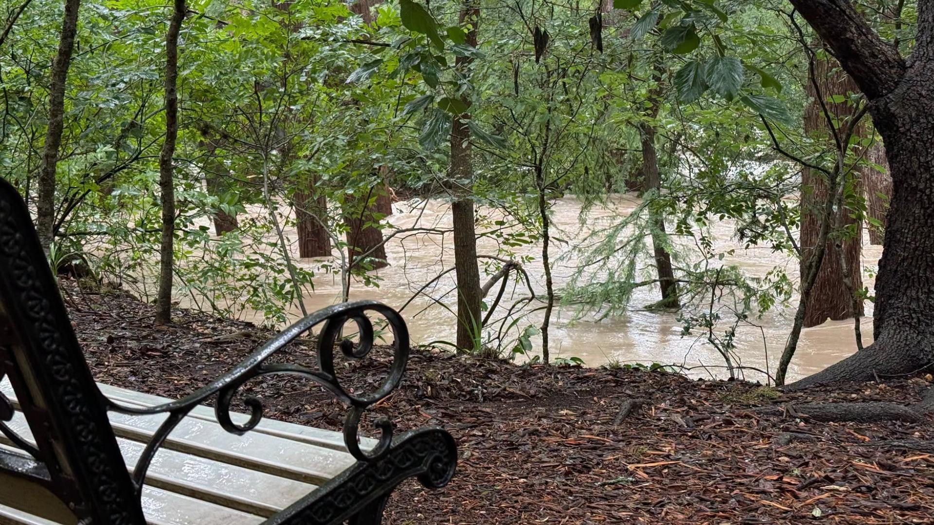Flood leaves fish stranded as Cibolo Creek reaches record level | kens5.com