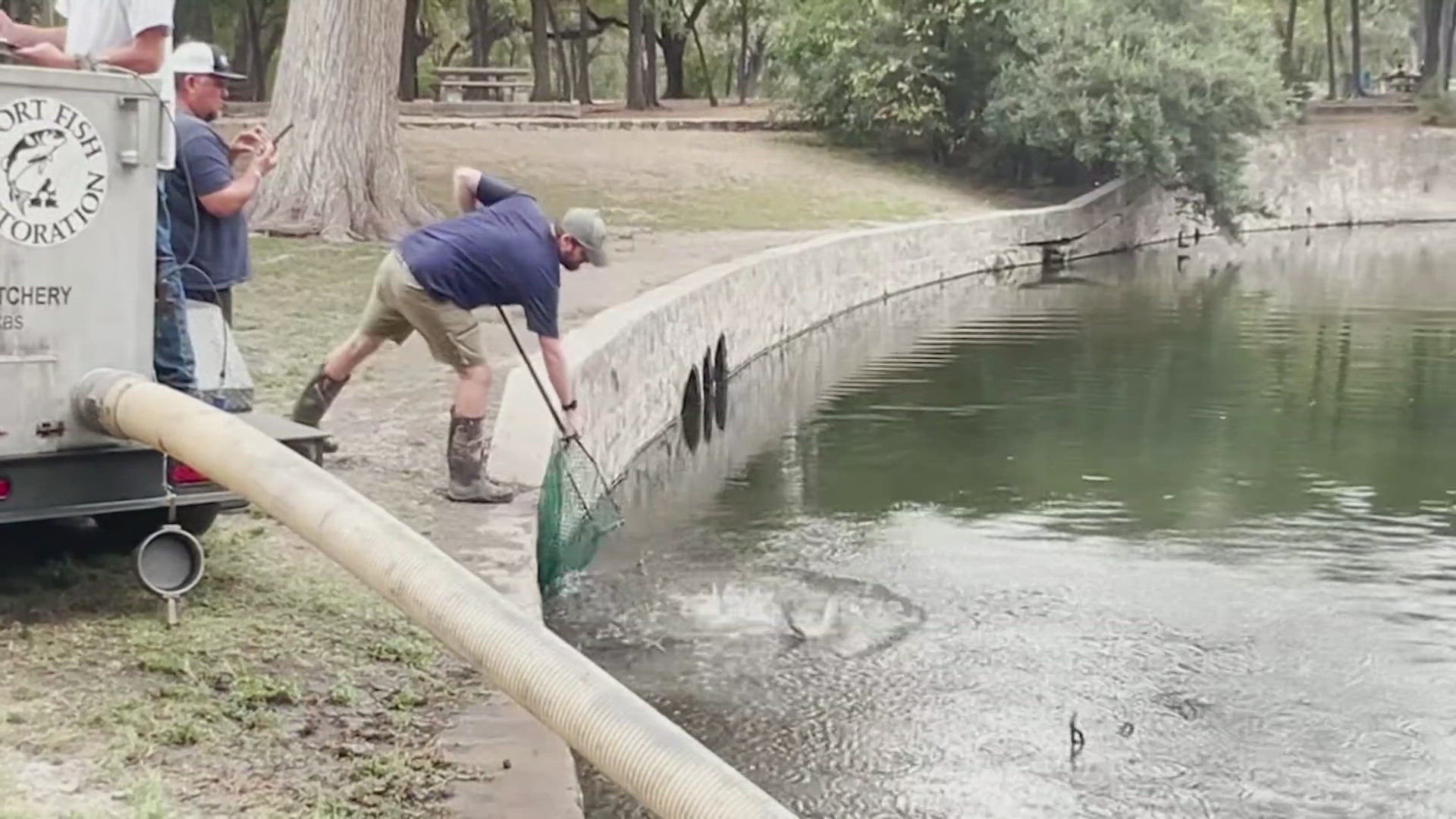 Crews were stocking the San Antonio River with 650 catfish. 