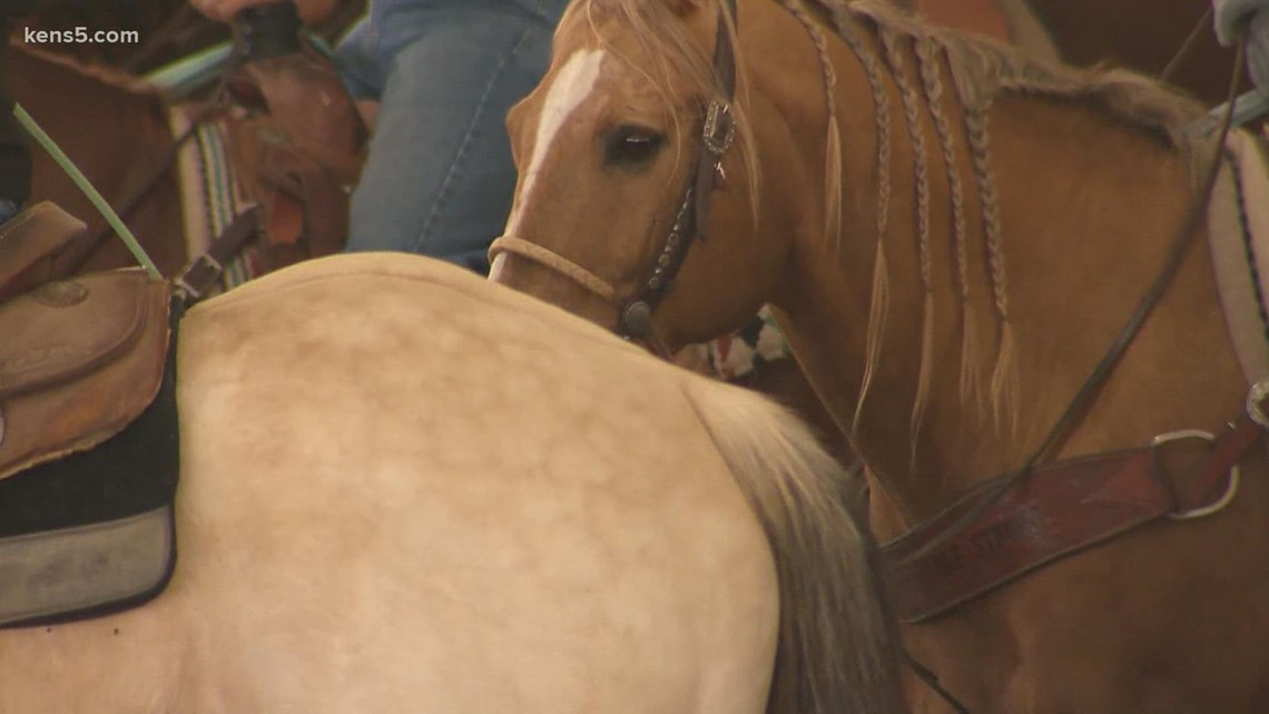 There's still time to enjoy the sights and sounds of the rodeo in San Antonio