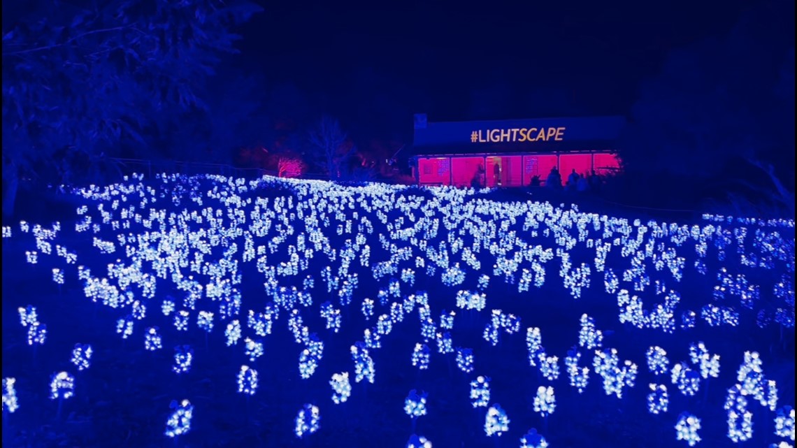 Magical Holiday Event Lightscape Returns To The San Antonio Botanical ...