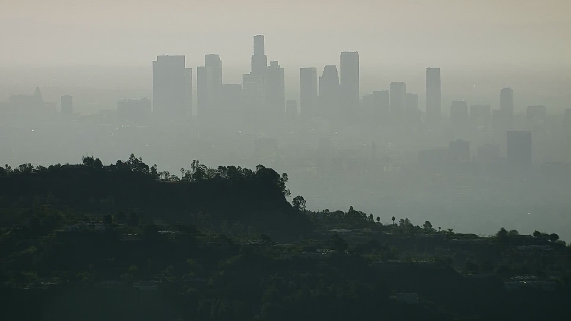 A free IQAir app allows users to track pollution near them.