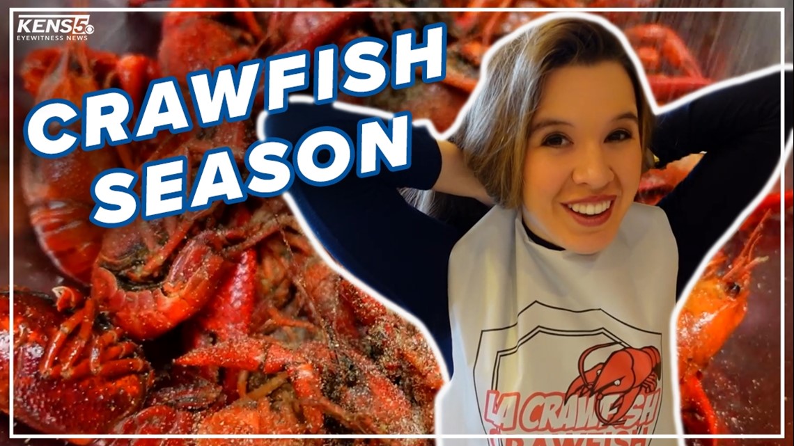 Crawfish season in full swing at San Antonio business