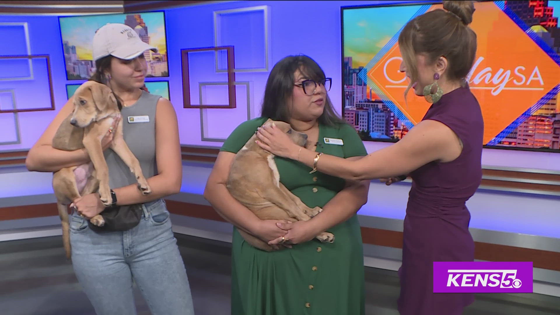 The Animal Defense League of Texas brings in some cute adoptable puppies ready for their fur-ever homes.