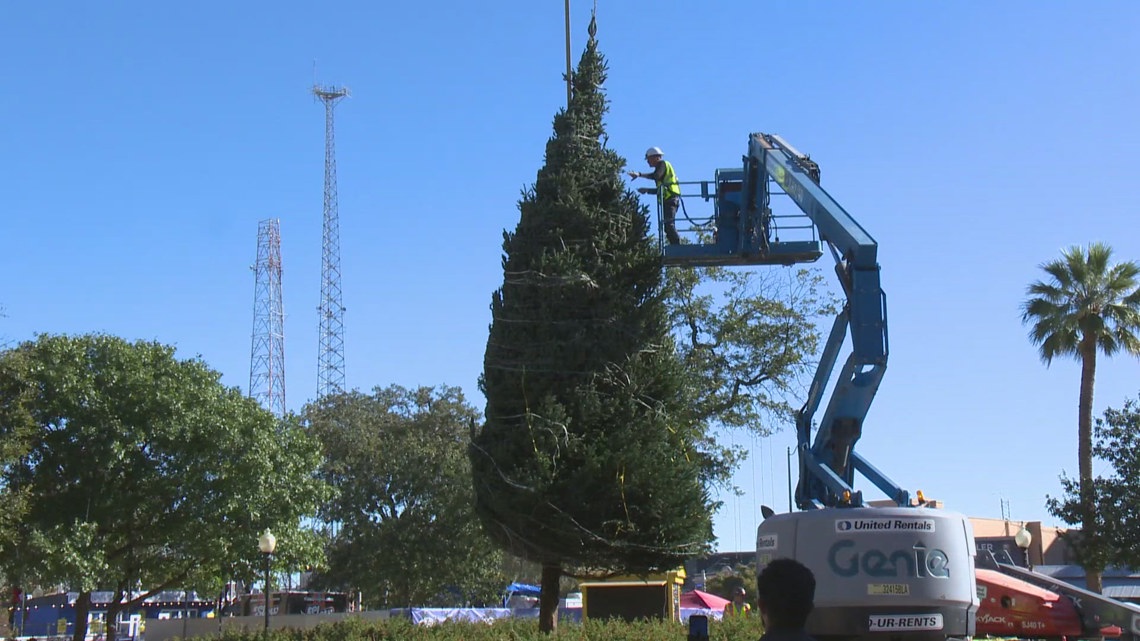 Christmas tree delivered to Travis Park | kens5.com