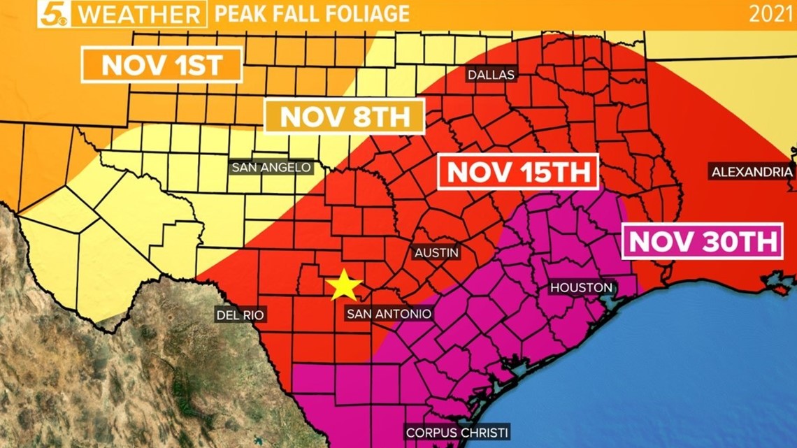 San Antonio, get ready for some fall foliage