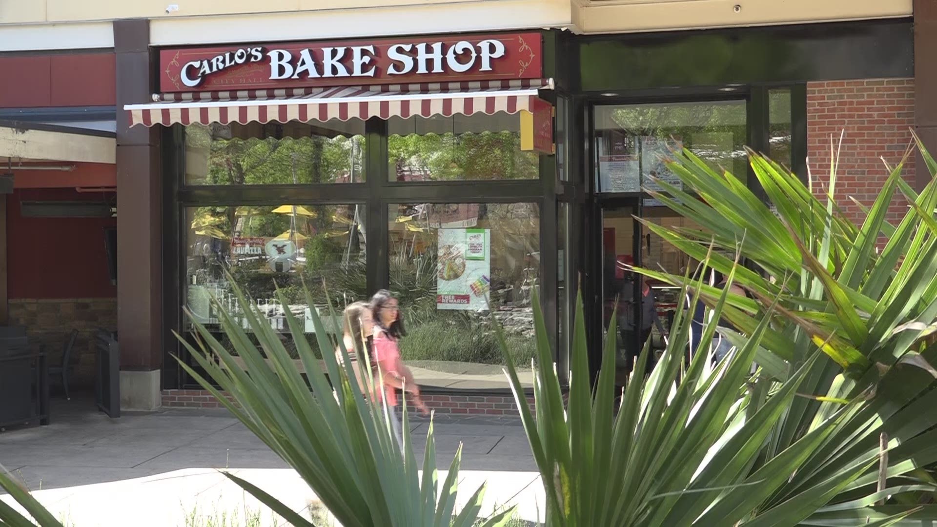 Carlo's Bakery, from the Cake Boss Buddy Valastro, will give its 314th customer on Thursday a gift card worth $314. The bakery opened last year and is located at the Shops at La Cantera near Kona Grill.