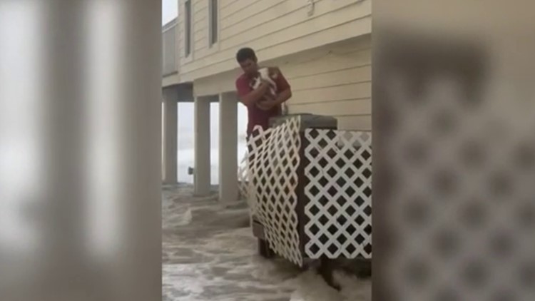 Florida man rescues stranded, shivering tabby cat during Hurricane Ian