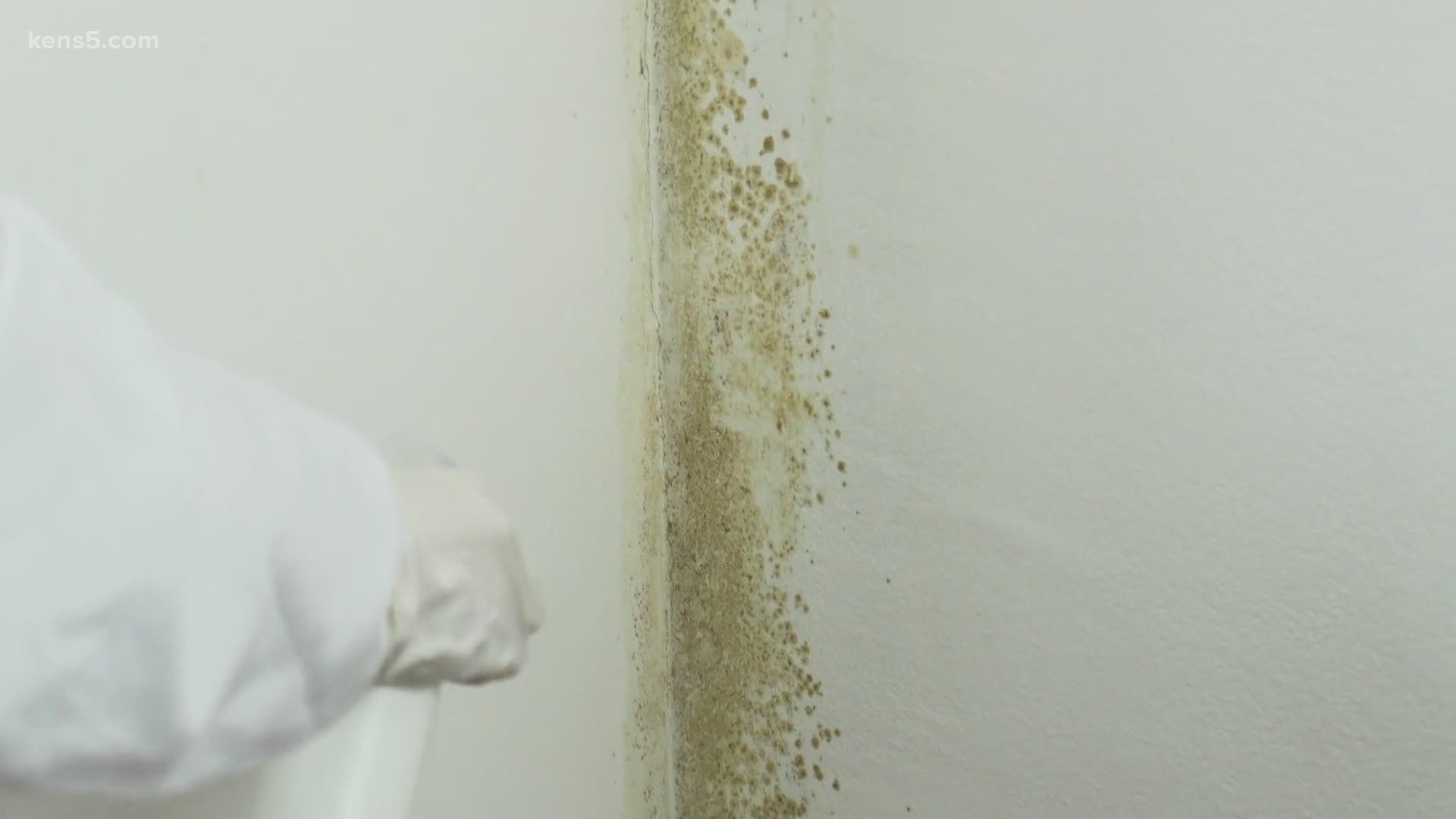 This month's winter storm has left Texas homeowners fixing damage to their properties. Don't wait to get rid of that mold.