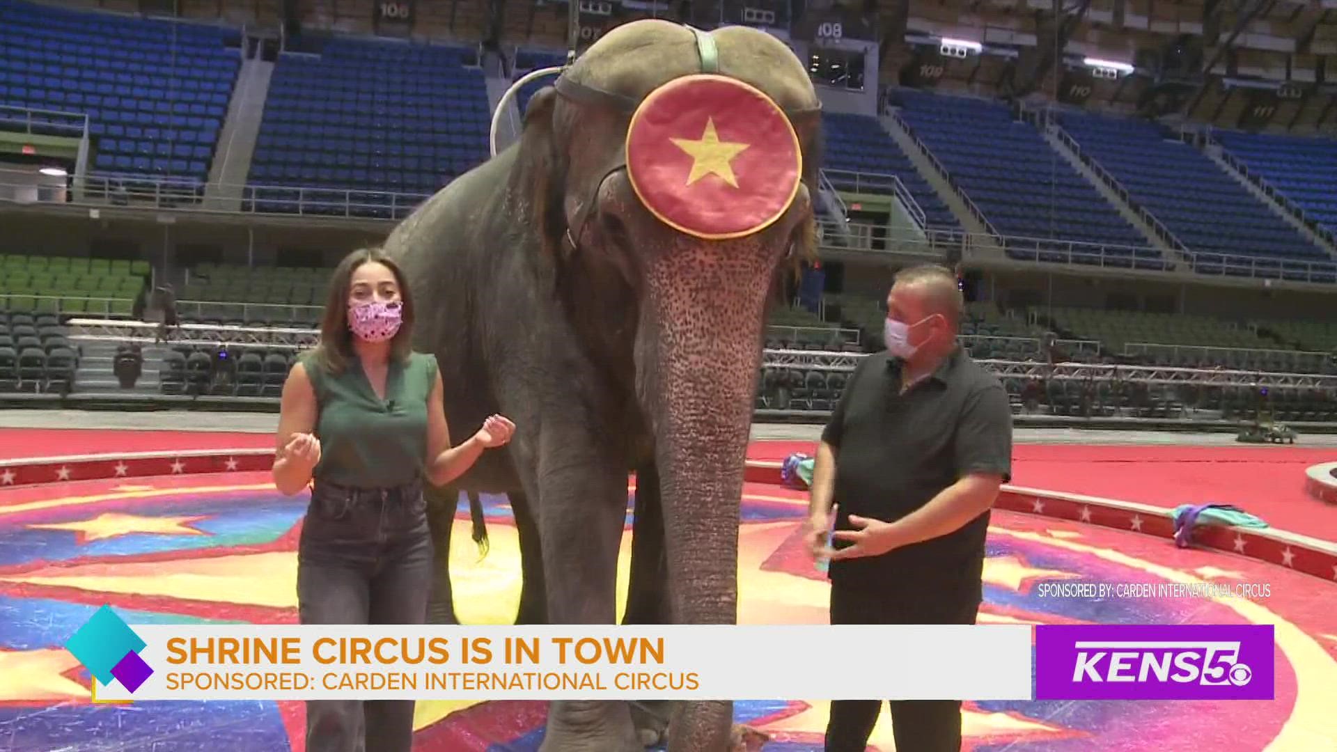 Sponsored by: Carden International Circus