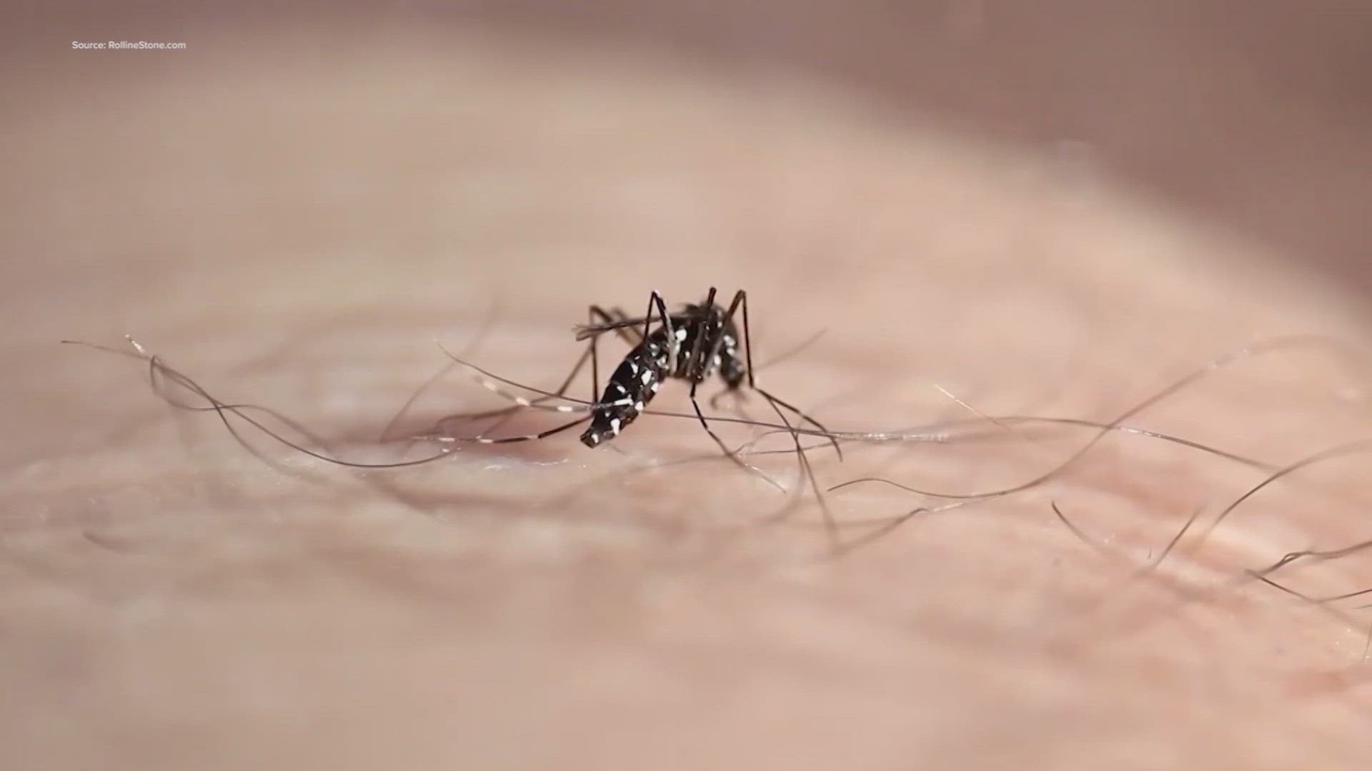 A person in Montgomery County, just north of Houston, was diagnosed with West Nile Fever.