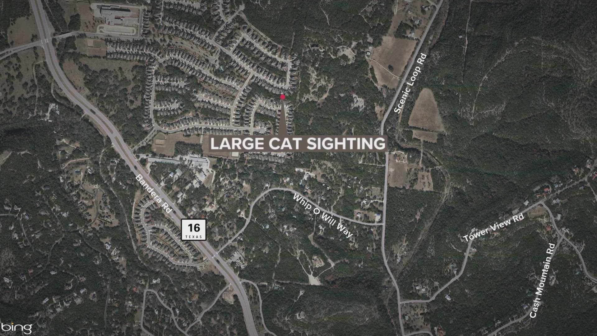 Deputies were called after someone says they saw a large long-tailed cat in the greenbelt along the 10,000 block of Foxen Way.