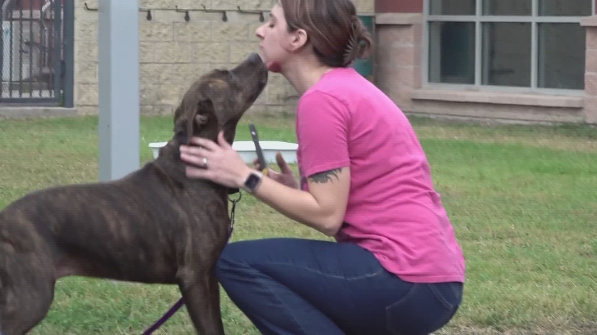 Now a team of caring people are working together for Harper and the 200 other animals that need care everyday.