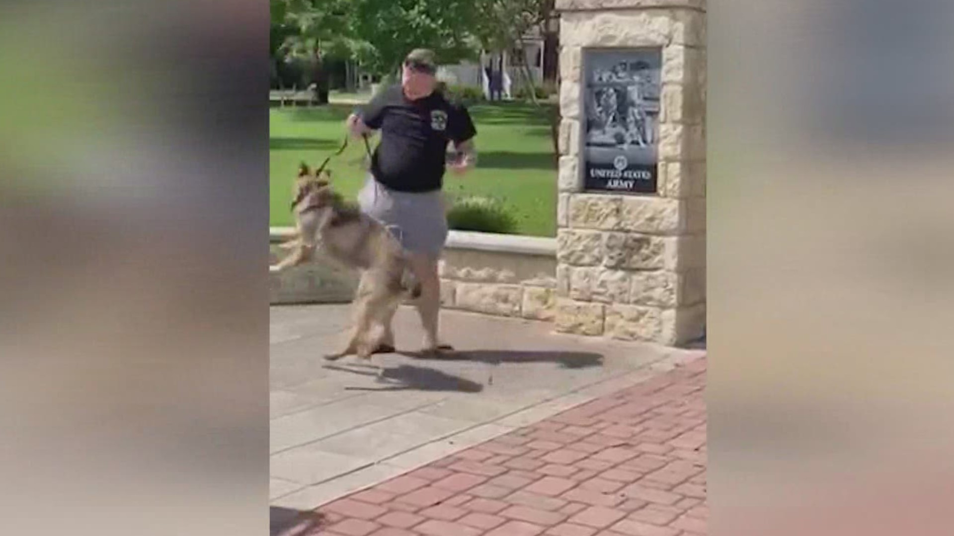 A U.S. Army Sergeant was reunited with his military dog in Boerne.