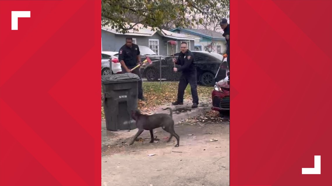 San Antonio Dog Attack: One killed, three injured 