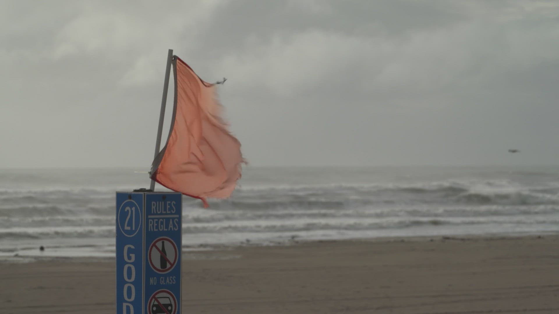 The surfers couldn't wait to hit the waves.