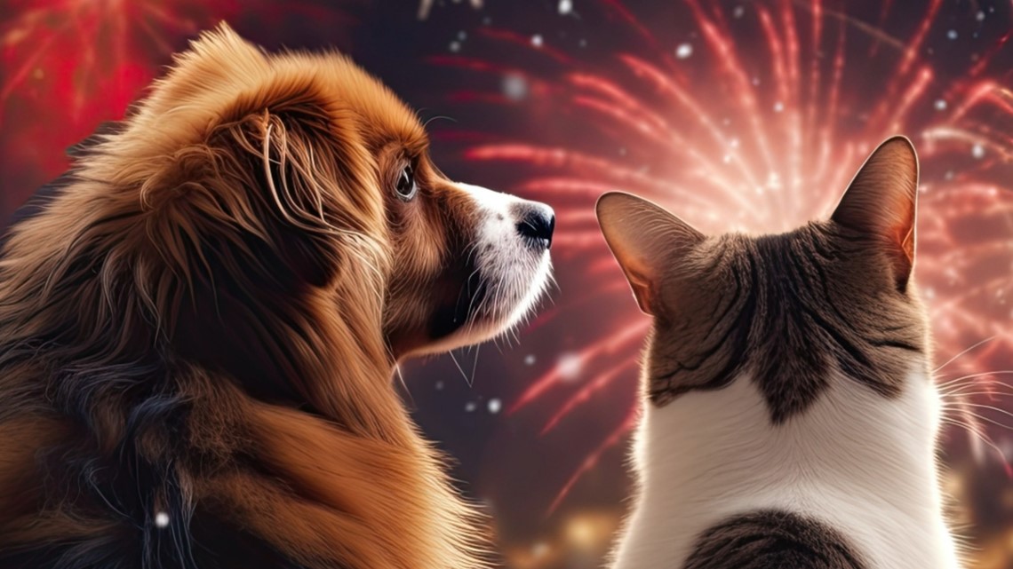 Tips To Keep Your Pets Safe During Fireworks | Kens5.com