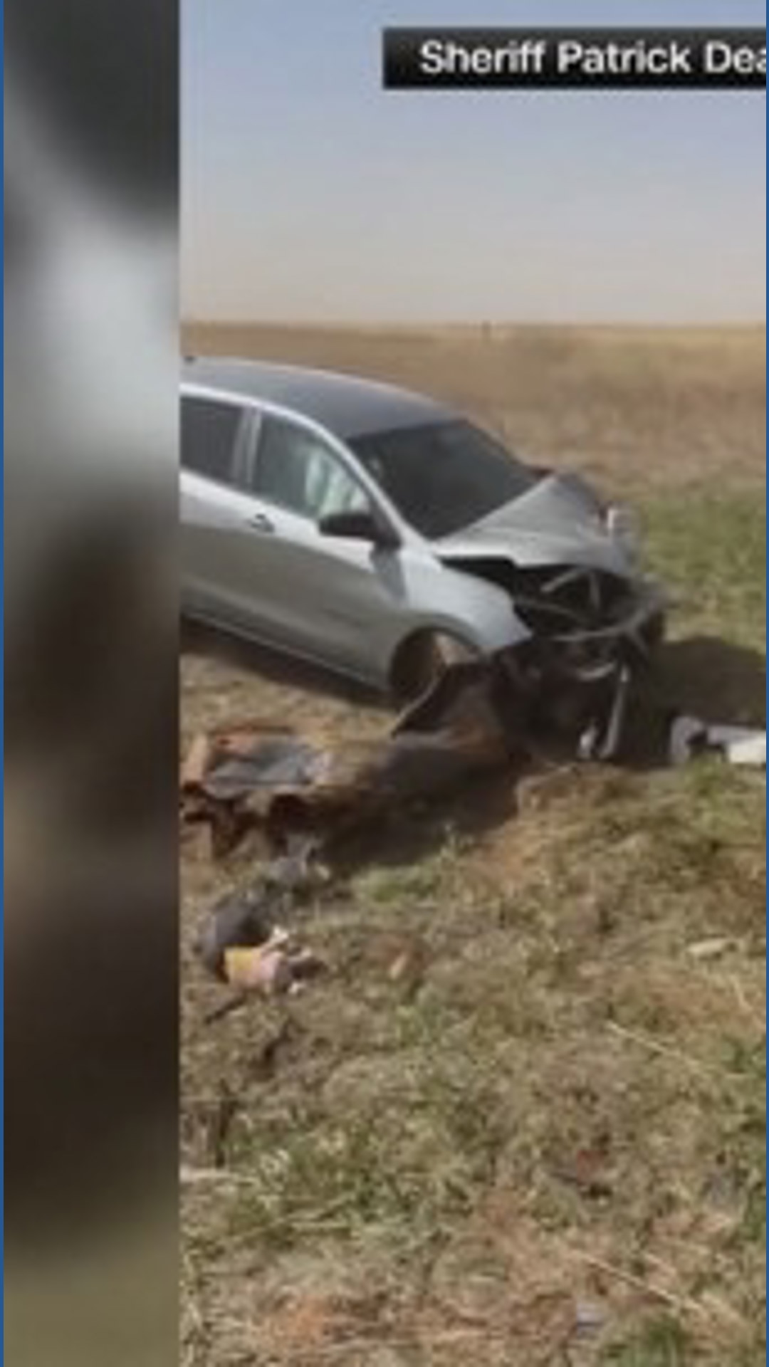 Strong winds overnight knocked out power for some, toppled trees and ...