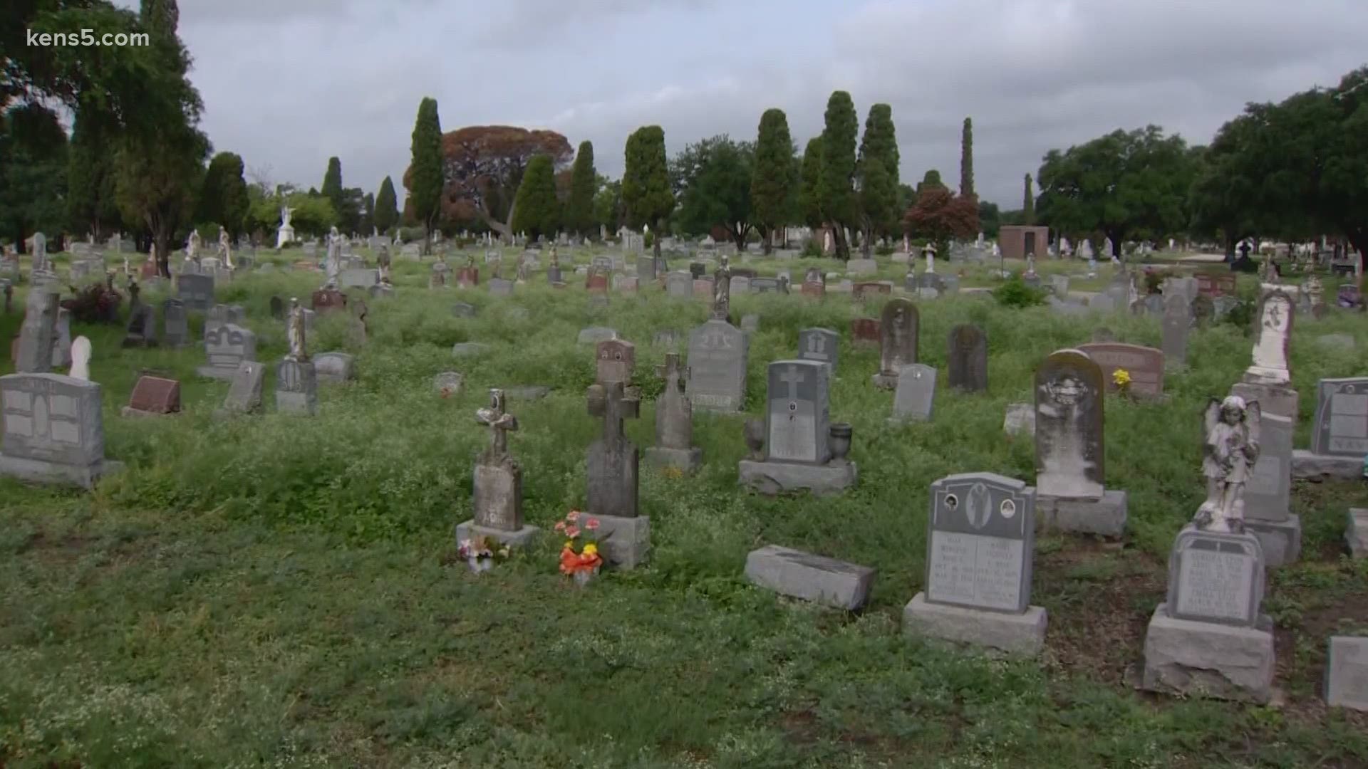 Many headstones at San Fernando Cemetery 3 are surrounded by tall grass and weeds, but the San Antonio Archdiocese says they are working on regular maintenance.