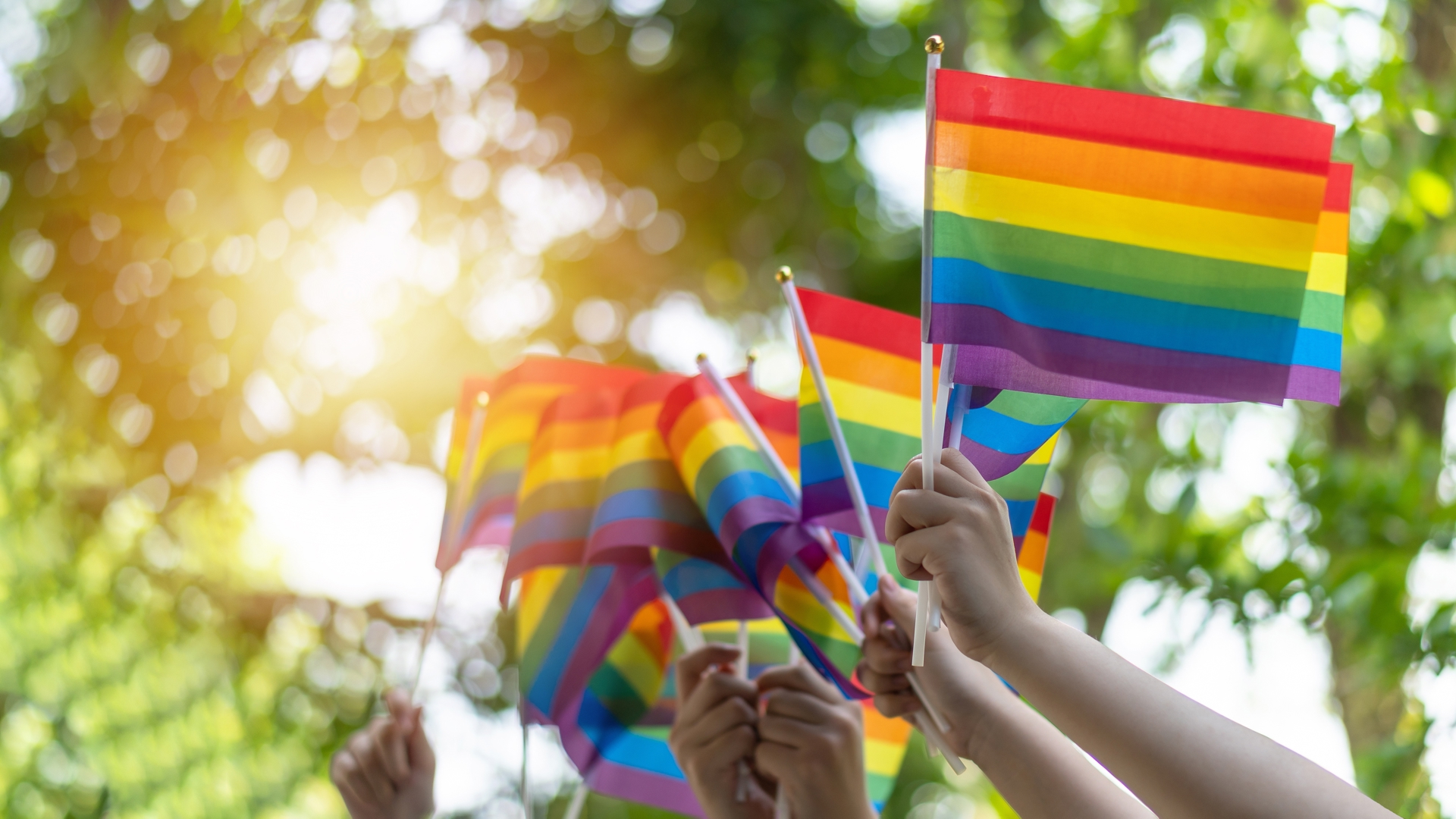 Pride Festival 2024 San Antonio 2024 Elke Nicoli