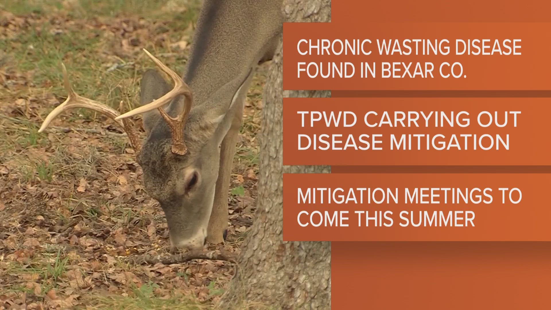 TWPD will hold community meetings this summer to discuss disease mitigation actions.