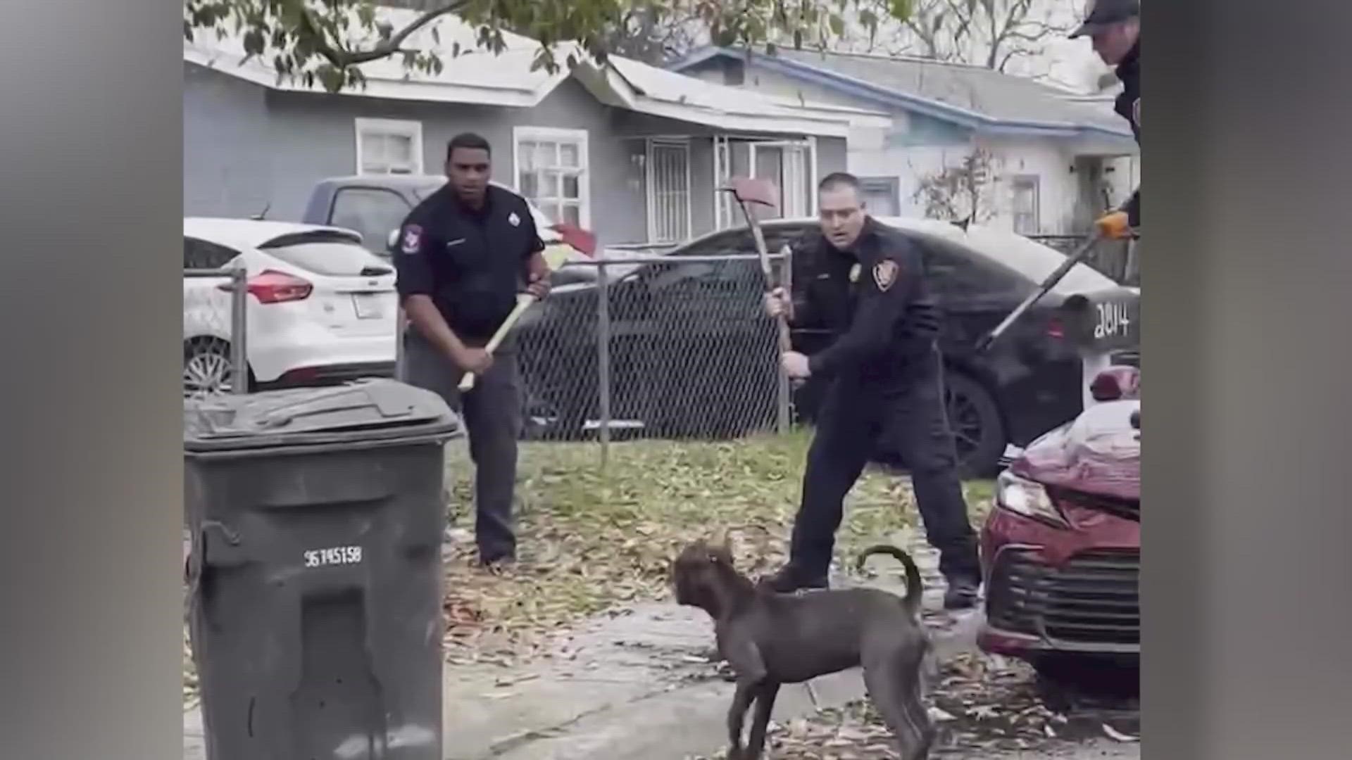 How Does A Dog Protect Itself