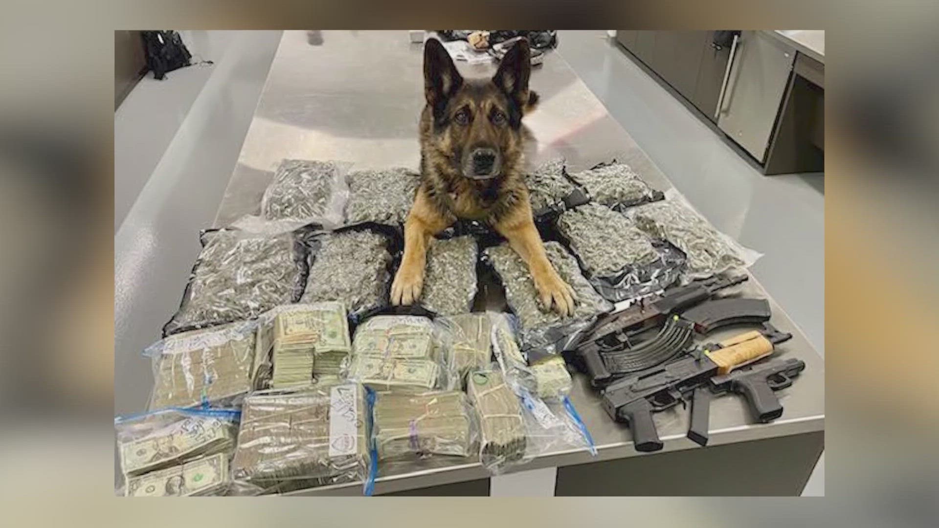 11 pounds of marijuana, $260,000 in cash and gun were found leading to the arrest of three men from Fort Worth.