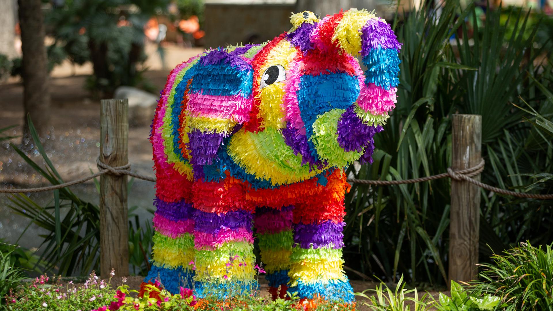 San Antonio Zoo offers $8 tickets to residents Friday for Locals Day ...