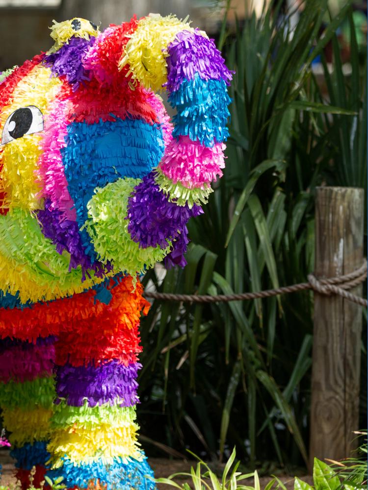 San Antonio Zoo offers $8 tickets to Bexar County residents on Friday ...