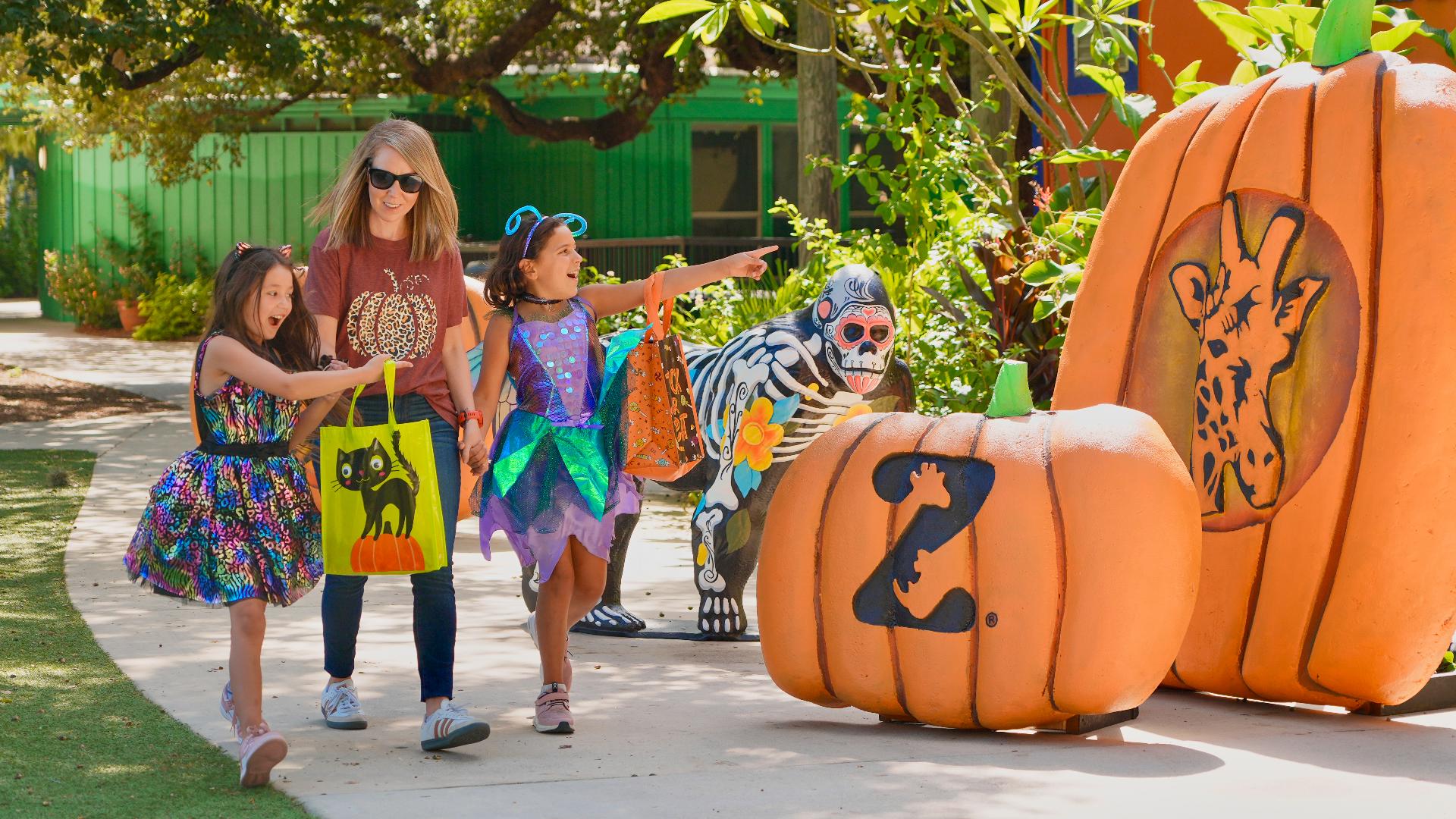 San Antonio Zoo celebrates 40 years of ZOO BOO! with new Día de los ...
