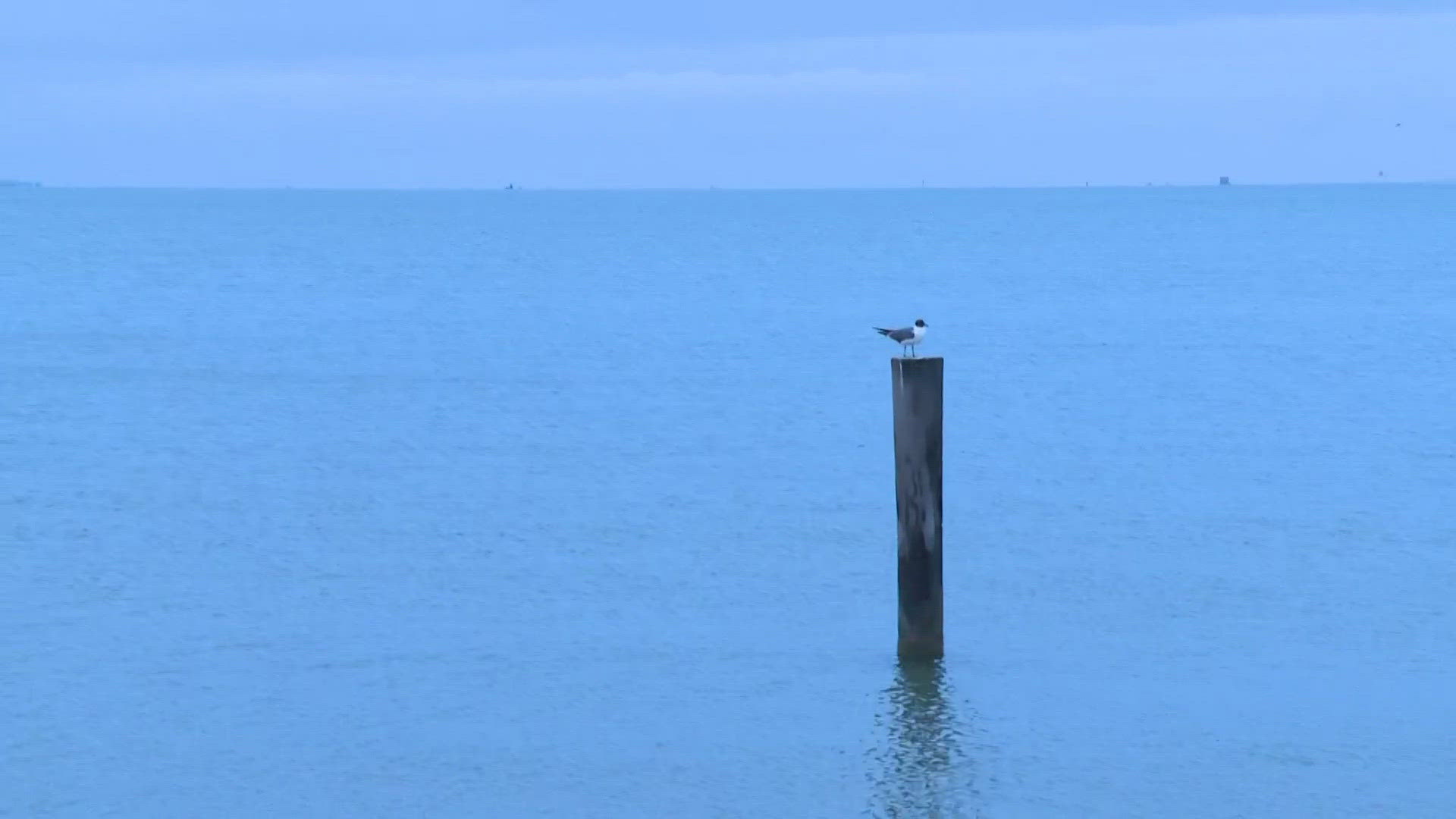 Meteorologist Jeremy Baker reports live from Rockport, Texas, after Hurricane Beryl makes landfall.