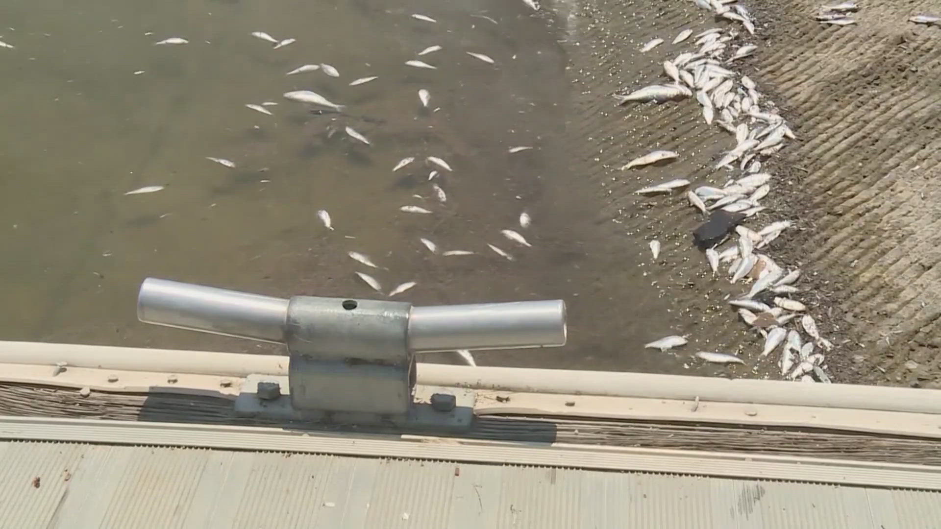 The massive fish die-off has closed Lake San Antonio in Monterey County amid speculation by state officials that warming water caused the kill.