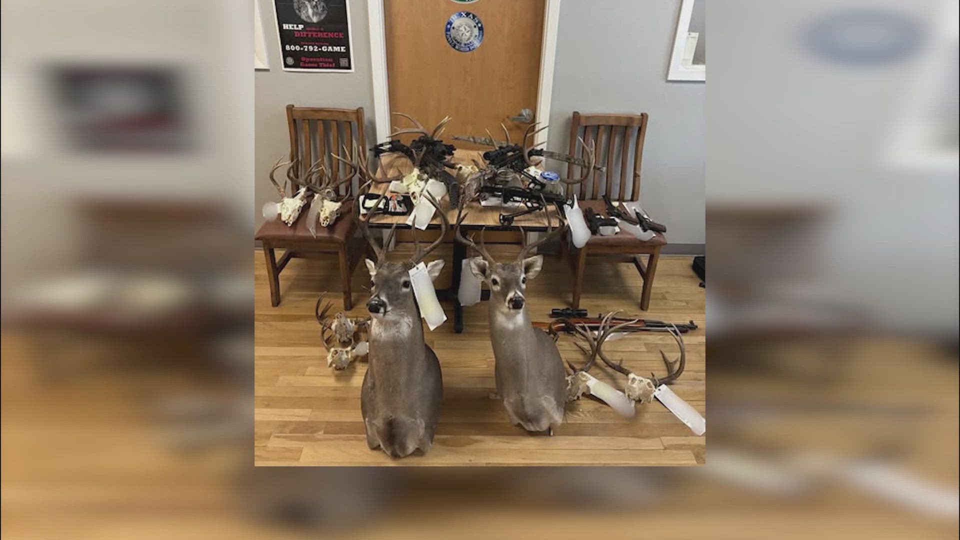 Poucoin New Braunfels man faces 74 charges in alleged deer poaching case ...