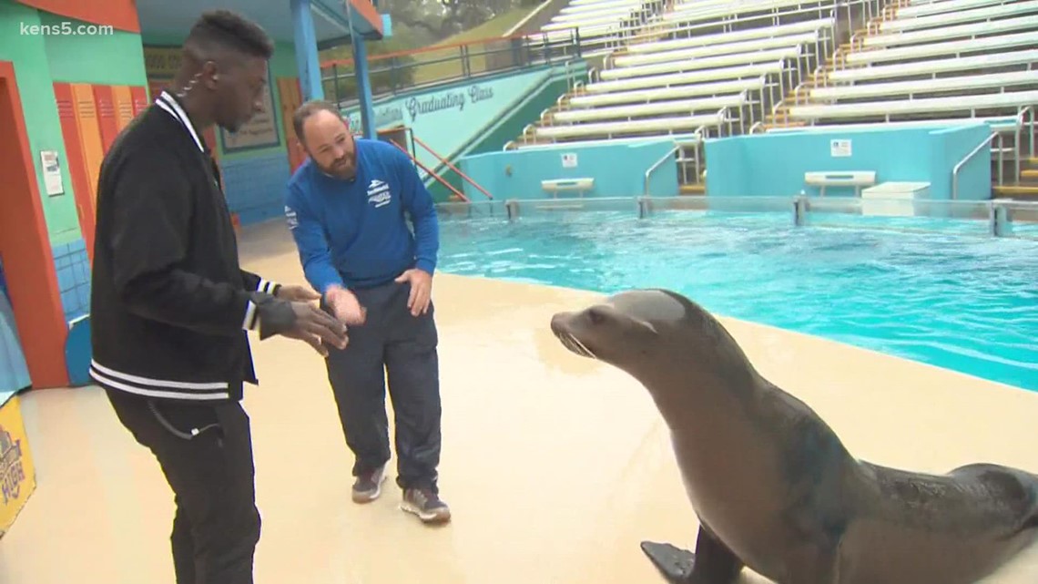 Behind the scenes look at your favorite SeaWorld animals