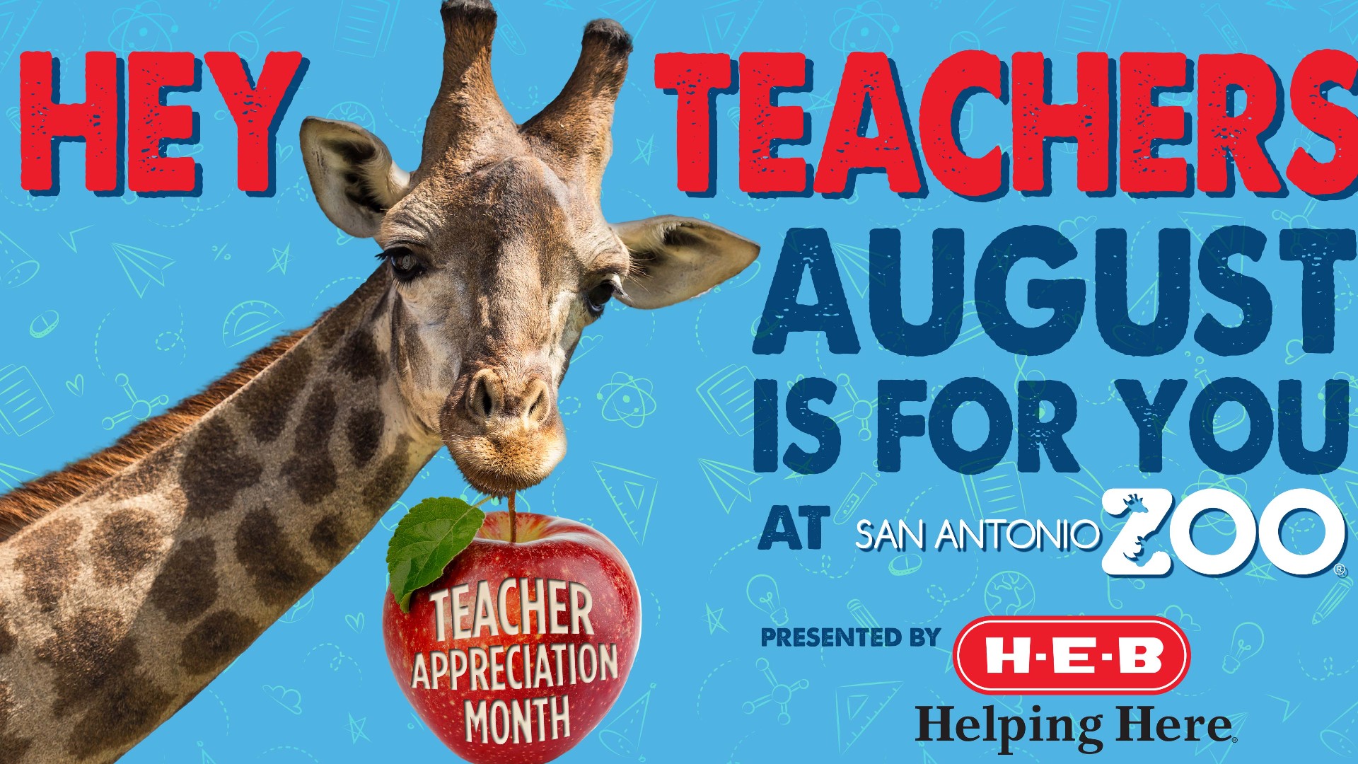 San Antonio Zoo teachers to visit free during Teacher