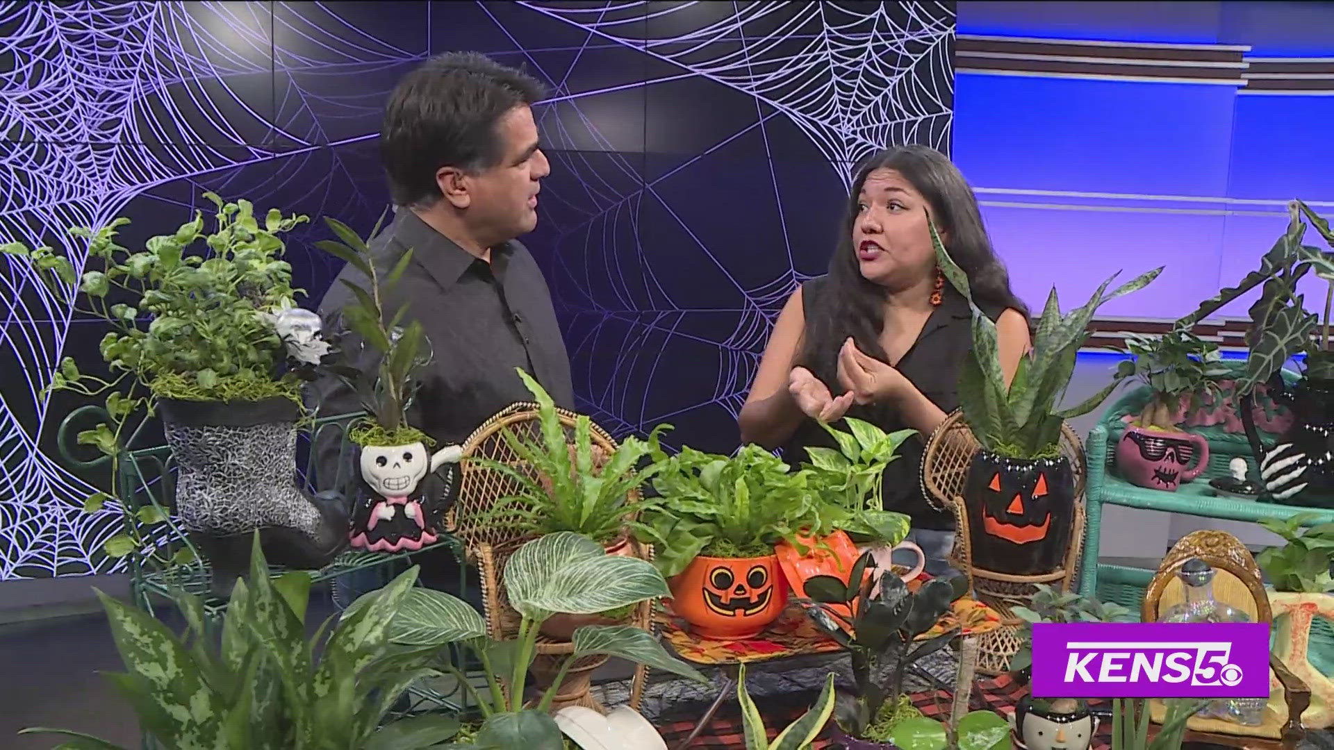 Denise Zapata with Green Thumb Gal gives Paul tips on how to take care of indoor plants.