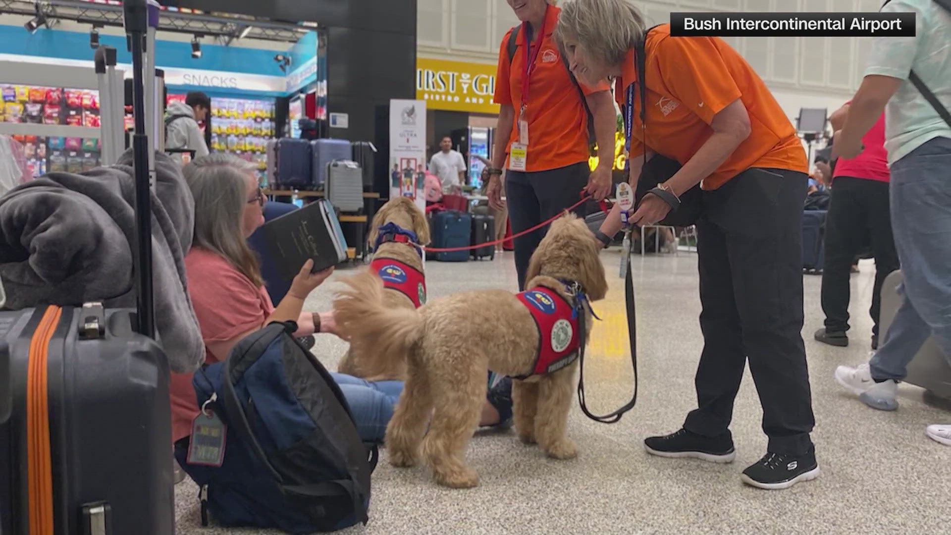 The therapy dogs arrived at Bush Intercontinental Airport Friday morning to bring smiles to stranded passengers.