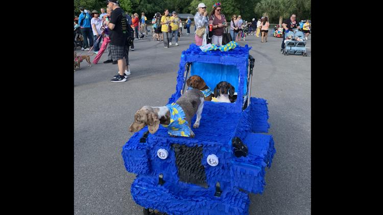 Join the 2025 Fiesta Pooch Parade in San Antonio | kens5.com