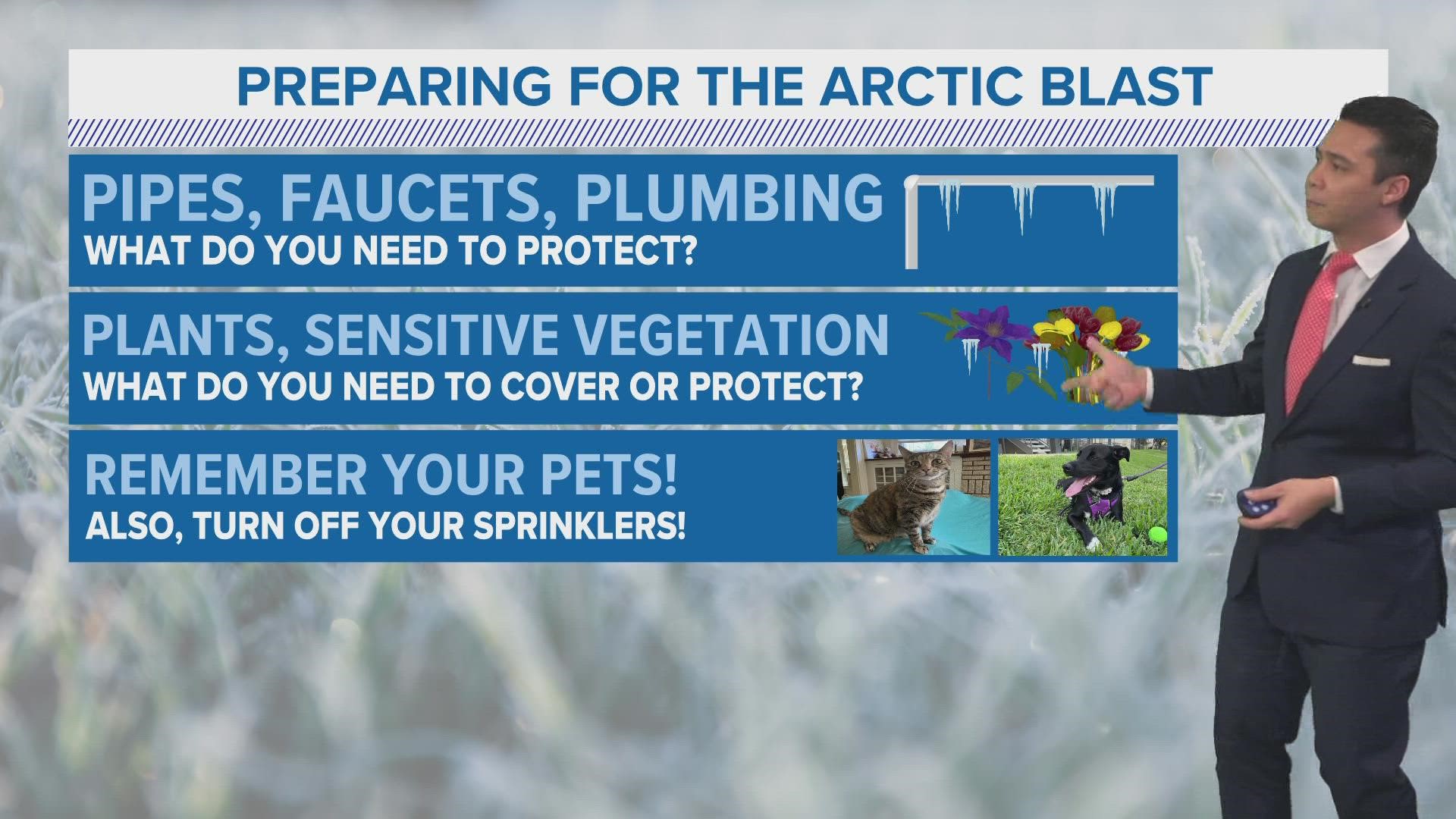 Remember to protect people, pipes, plants and pets!