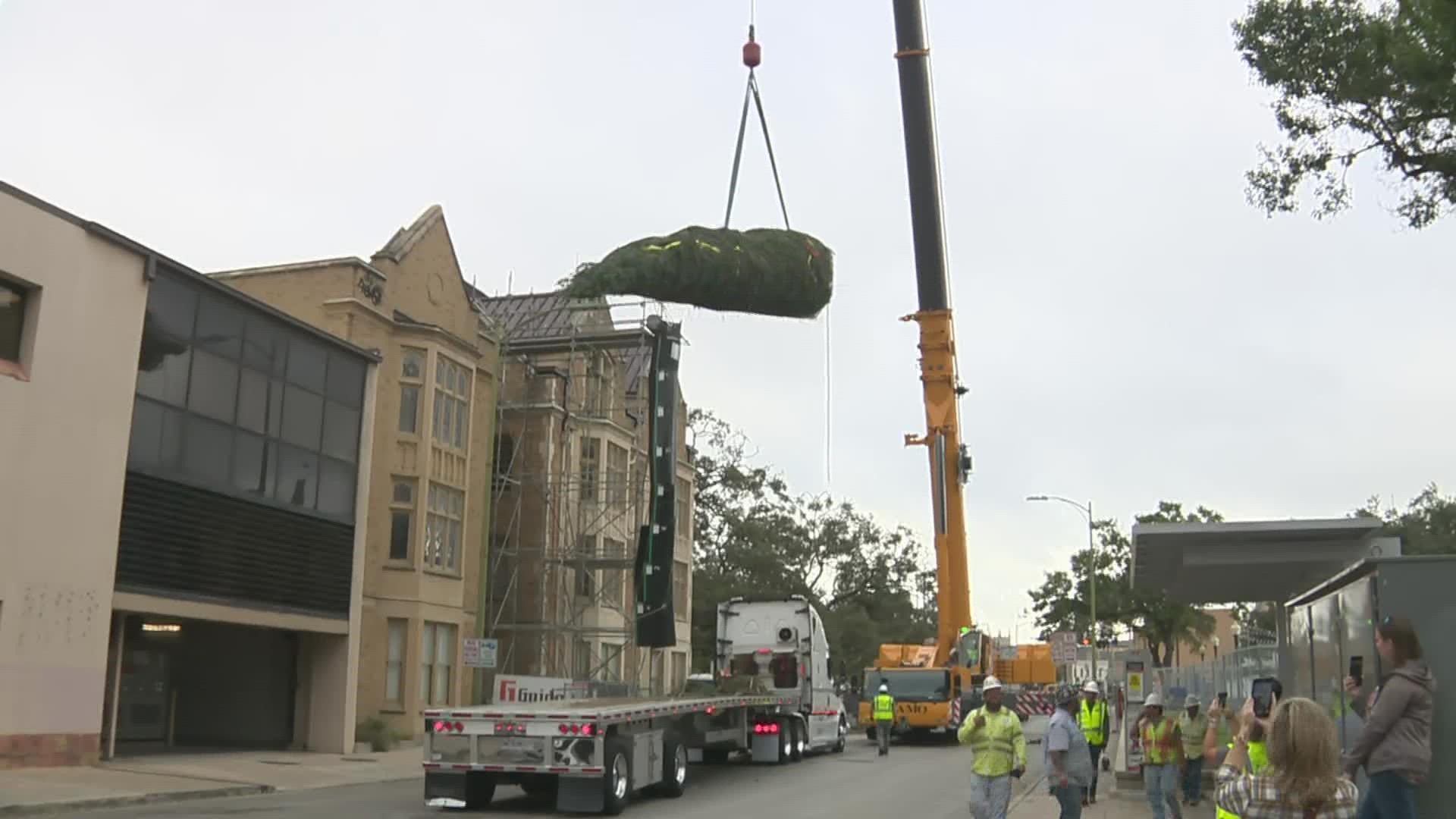 The massive tree arrived Tuesday morning with workers using a crane to get it in the right spot at its usual location.