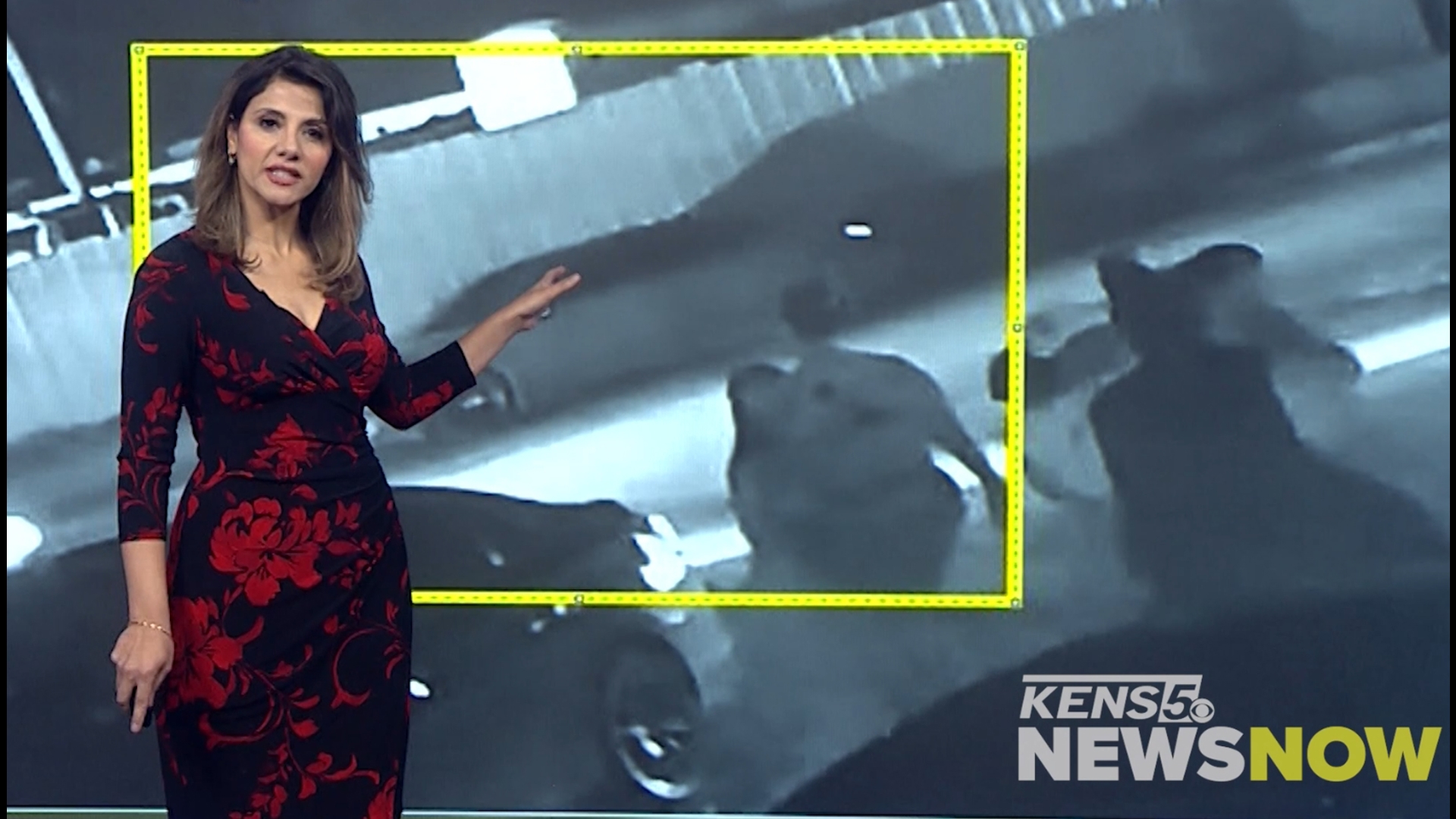 Keep up with the latest local, state and national news each weekday on KENS 5 News Now with anchor Sarah Forgany!