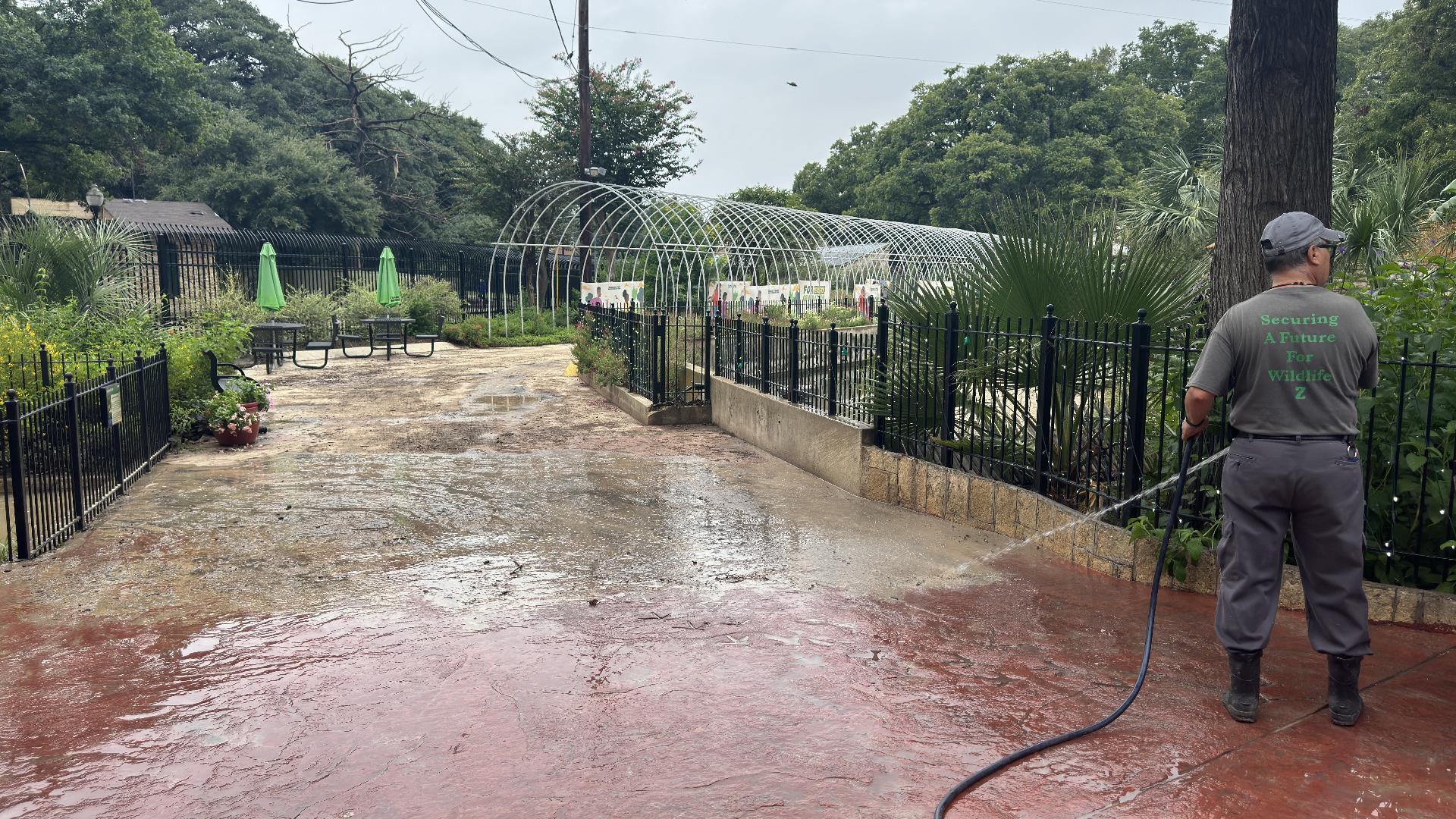 Zoo reopens after Tuesday's flooding, needs your help | kens5.com