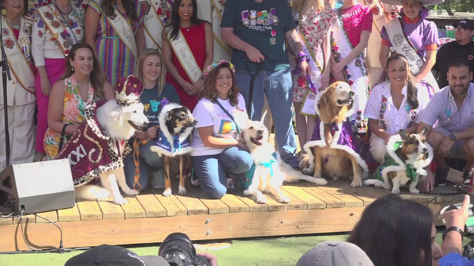 The annual Fiesta event at Hops and Hounds raised tens of thousands of dollars to help the San Antonio Humane Society.
