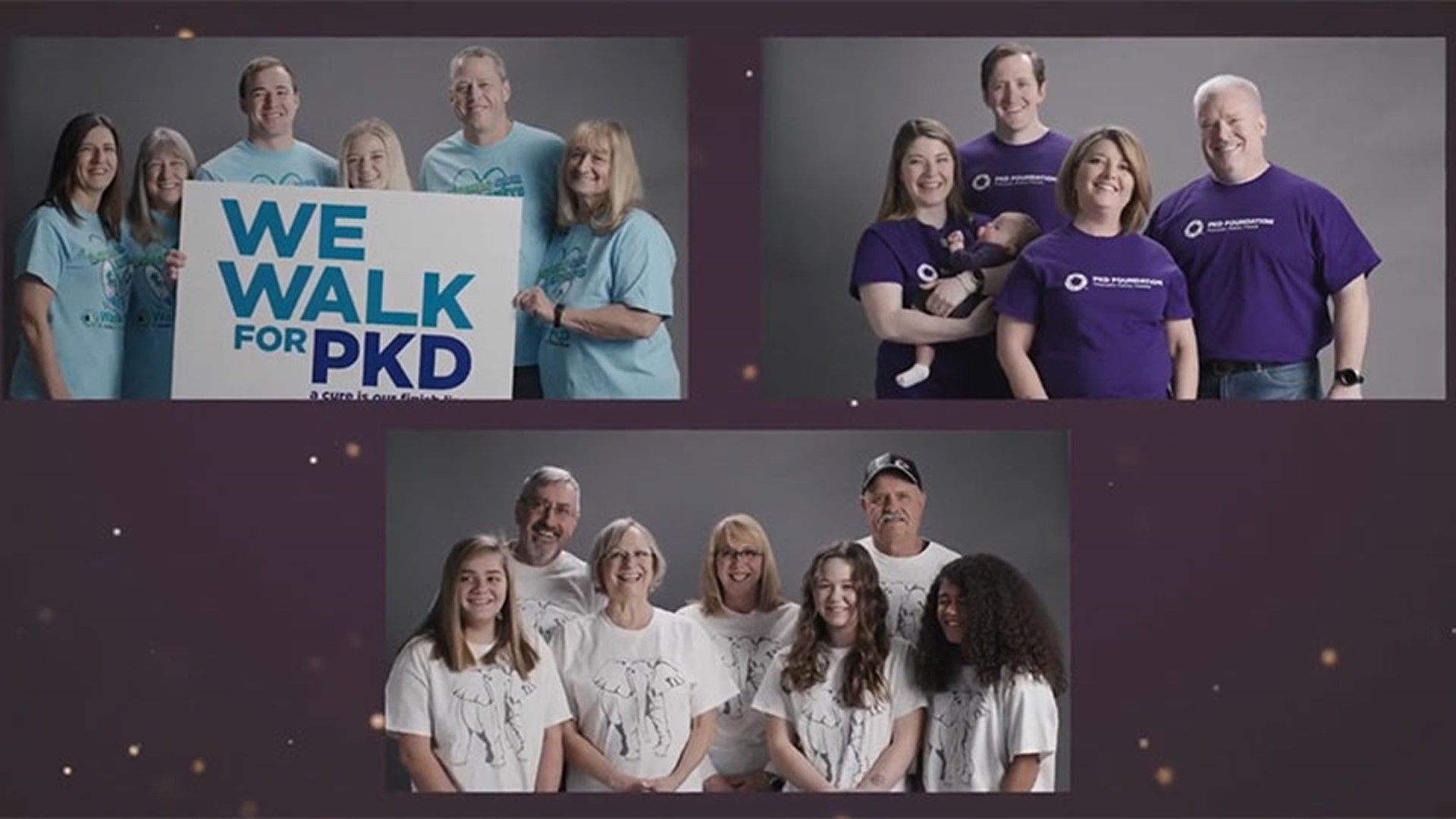 This year's walk is a virtual event to raise funds and unite in the fight to end PKD.